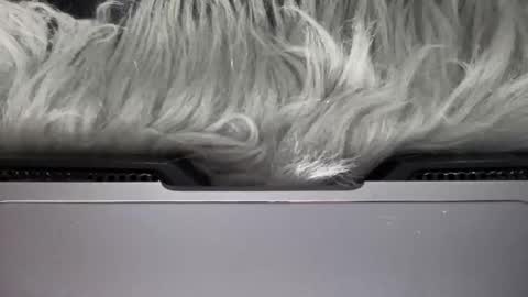 Amelia online show from 15, 3, 2026