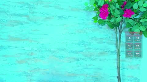  AMELIA.  online show from 14, 3, 2026