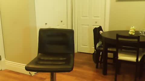 HOT white  naughty leo  xxx online show from 12, 1, 2025