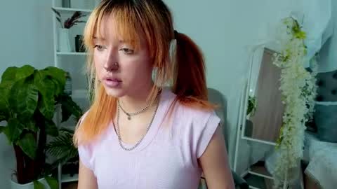    online show from 14, 4, 2026