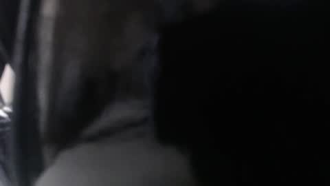 Snapshot of amoremeoww chatting on 24, 3, 2026 miss unforgettable online show from 24, 3, 2026