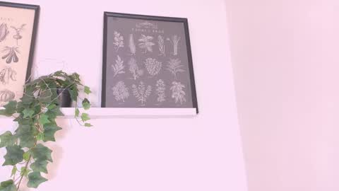 Snapshot of amypalmmer chatting on 20, 2, 2026 AMMY online show from 20, 2, 2026