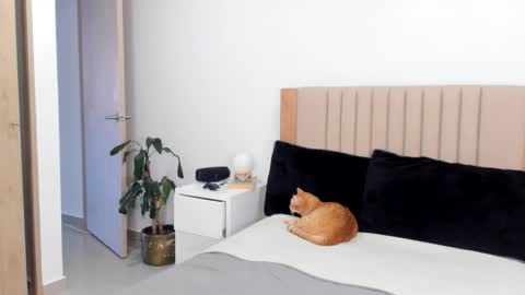 Ana Henao or Annie... Follow me ahenaocb Insta  X online show from 25, 10, 2025