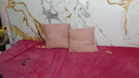 Snapshot of analiz_ chatting on 5, 2, 2026 analiz_ online show from 5, 2, 2026