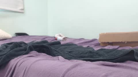 AnalKing online show from 14, 10, 2025