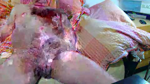 Snapshot of andi84k chatting on 20, 11, 2025 Andi online show from 20, 11, 2025