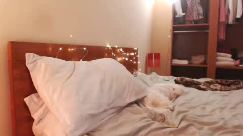 Snapshot of andrasweetie chatting on 24, 12, 2024 Andra online show from 24, 12, 2024