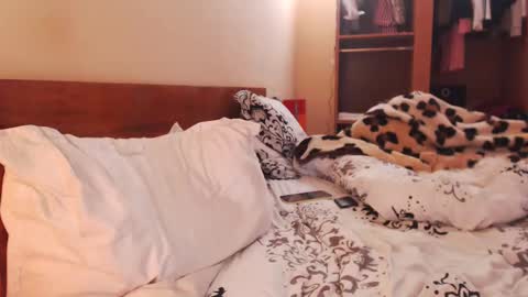 Snapshot of andrasweetie chatting on 27, 1, 2025 Andra online show from 27, 1, 2025