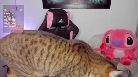 Andrea online show from 8, 3, 2026