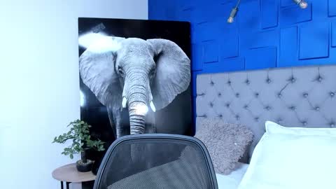 insta andres clark  online show from 26, 9, 2025