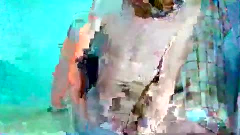 FLACO online show from 5, 12, 2024