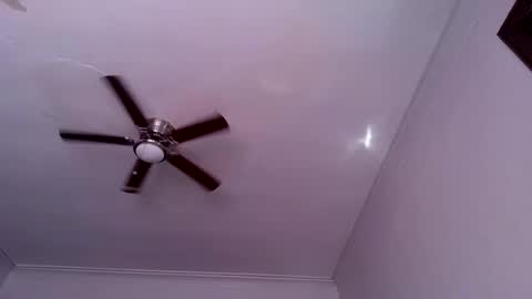 Snapshot of andrewgennie chatting on 26, 10, 2025 andrewgennie online show from 26, 10, 2025