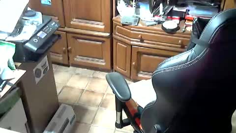 Snapshot of androgynia1 chatting on 17, 10, 2025 androgynia online show from 17, 10, 2025