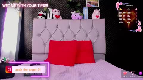 Snapshot of andy_angel1 chatting on 21, 2, 2025 andy angel online show from 21, 2, 2025