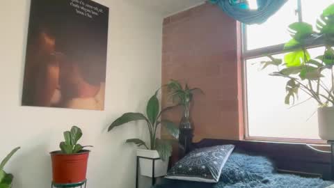 Andy online show from 24, 2, 2026