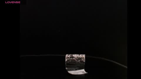 Eva online show from 28, 12, 2024