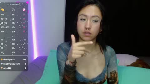 Snapshot of anne_nicholson chatting on 19, 12, 2024 Anne  online show from 19, 12, 2024