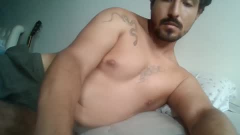 Snapshot of annibalhibou chatting on 11, 3, 2025 Annibalhibou online show from 11, 3, 2025