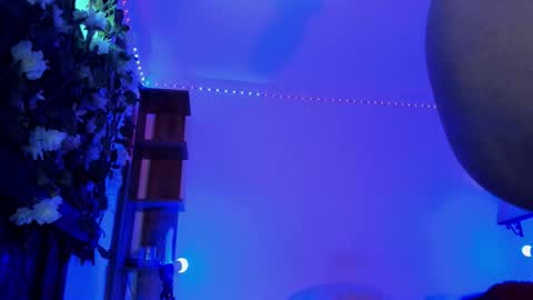 Anny online show from 31, 1, 2026