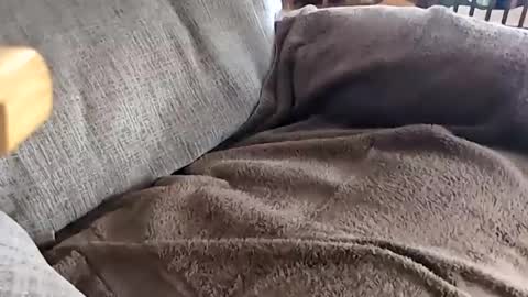 Snapshot of anonisme_54 chatting on 20, 11, 2025 jay online show from 20, 11, 2025