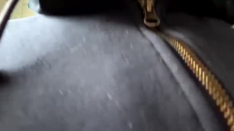 anonomousloser online show from 6, 1, 2025