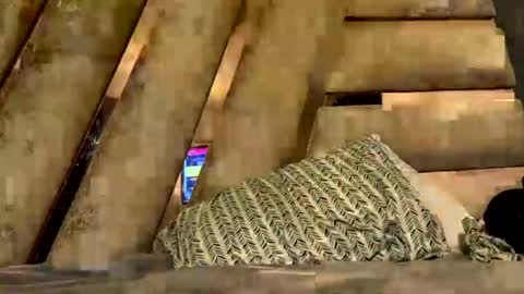 anubis_inpu online show from 6, 11, 2025