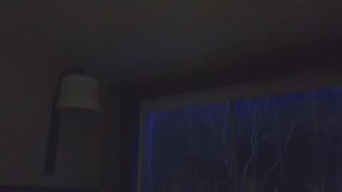 Daddy online show from 15, 11, 2025