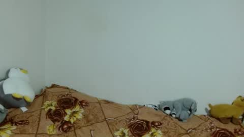 apache_710 online show from 20, 11, 2025