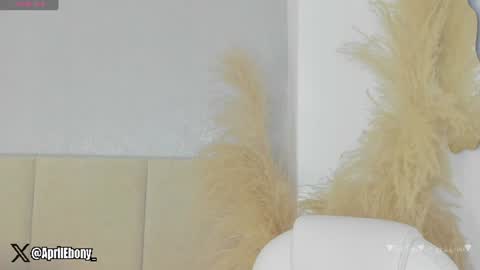 Snapshot of april_ebony18_ chatting on 2, 7, 2026 April online show from 2, 7, 2026