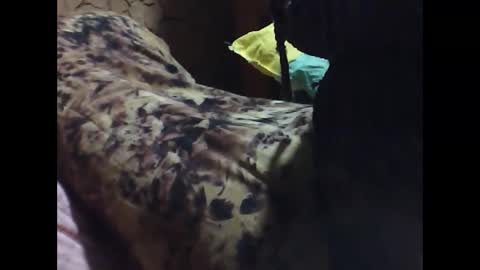 Snapshot of ara_bellah chatting on 21, 3, 2026 ara bellah online show from 21, 3, 2026