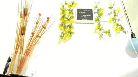 ARABELA online show from 19, 1, 2025