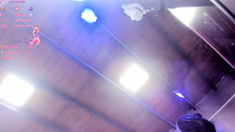 ARI  online show from 29, 1, 2025