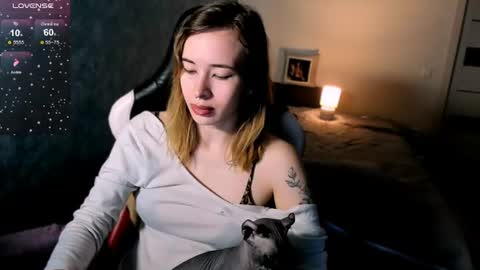 Ari online show from 6, 7, 2026