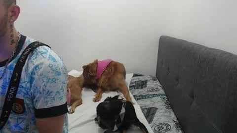 Snapshot of ariana_esteban07 chatting on 6, 2, 2026 ariana_esteban07 online show from 6, 2, 2026