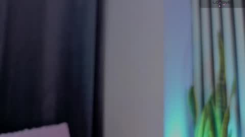 Ariana online show from 16, 7, 2026