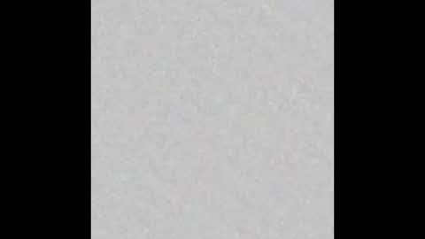 Arianna Collins online show from 12, 3, 2025