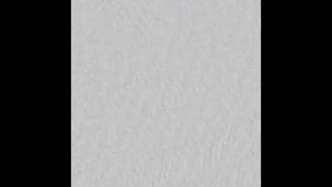 Arianna Collins online show from 24, 2, 2026