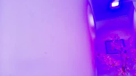 arianna_sweeet online show from 17, 5, 2026