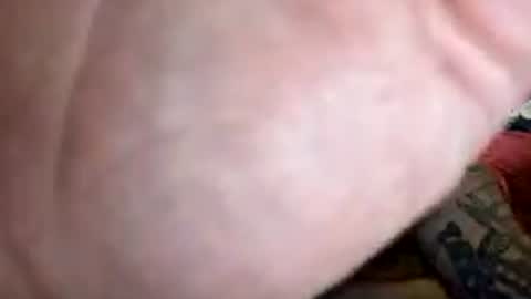 Snapshot of arihard444 chatting on 19, 7, 2026 Arihard444 online show from 19, 7, 2026
