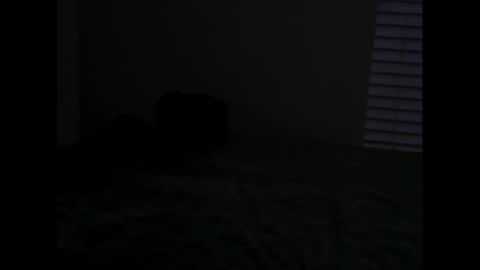 Snapshot of arkk_angel chatting on 20, 1, 2025 Arkk Angel online show from 20, 1, 2025