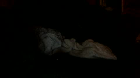 Snapshot of arley1966 chatting on 4, 11, 2025 arley1966 online show from 4, 11, 2025