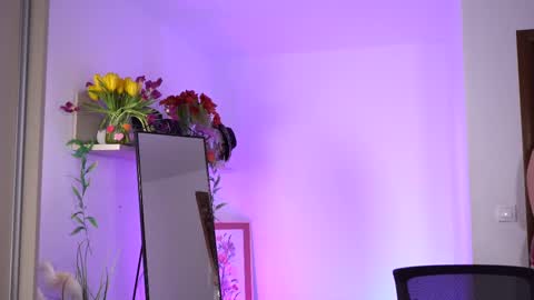 Amalia online show from 2, 3, 2025