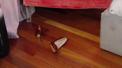 Snapshot of aryaeve chatting on 29, 9, 2025 Aryana online show from 29, 9, 2025