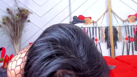 Asha online show from 28, 2, 2026