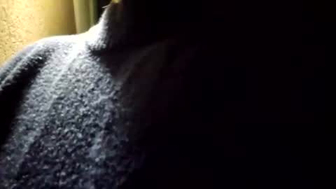 Snapshot of ashelynngrey1986 chatting on 29, 6, 2026 Ashelynn Grey online show from 29, 6, 2026