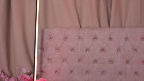 Snapshot of ashleyvalirya chatting on 20, 1, 2025 Ashley Lauren online show from 20, 1, 2025