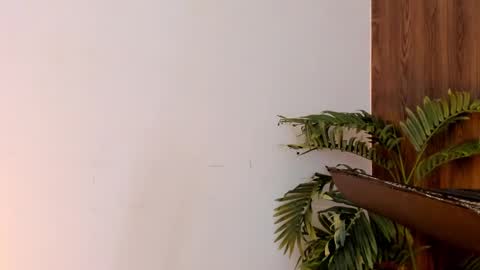 my name real is camilo online show from 28, 12, 2024