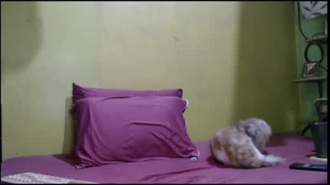 Snapshot of asianmhay24 chatting on 1, 8, 2026 Mhay online show from 1, 8, 2026