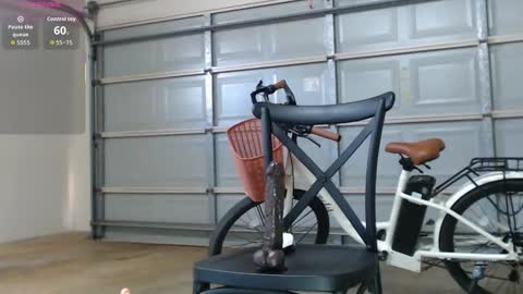 Anne online show from 15, 12, 2025