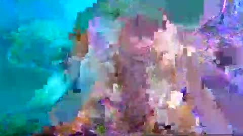 Snapshot of aspyporn chatting on 26, 1, 2025 Aspy online show from 26, 1, 2025